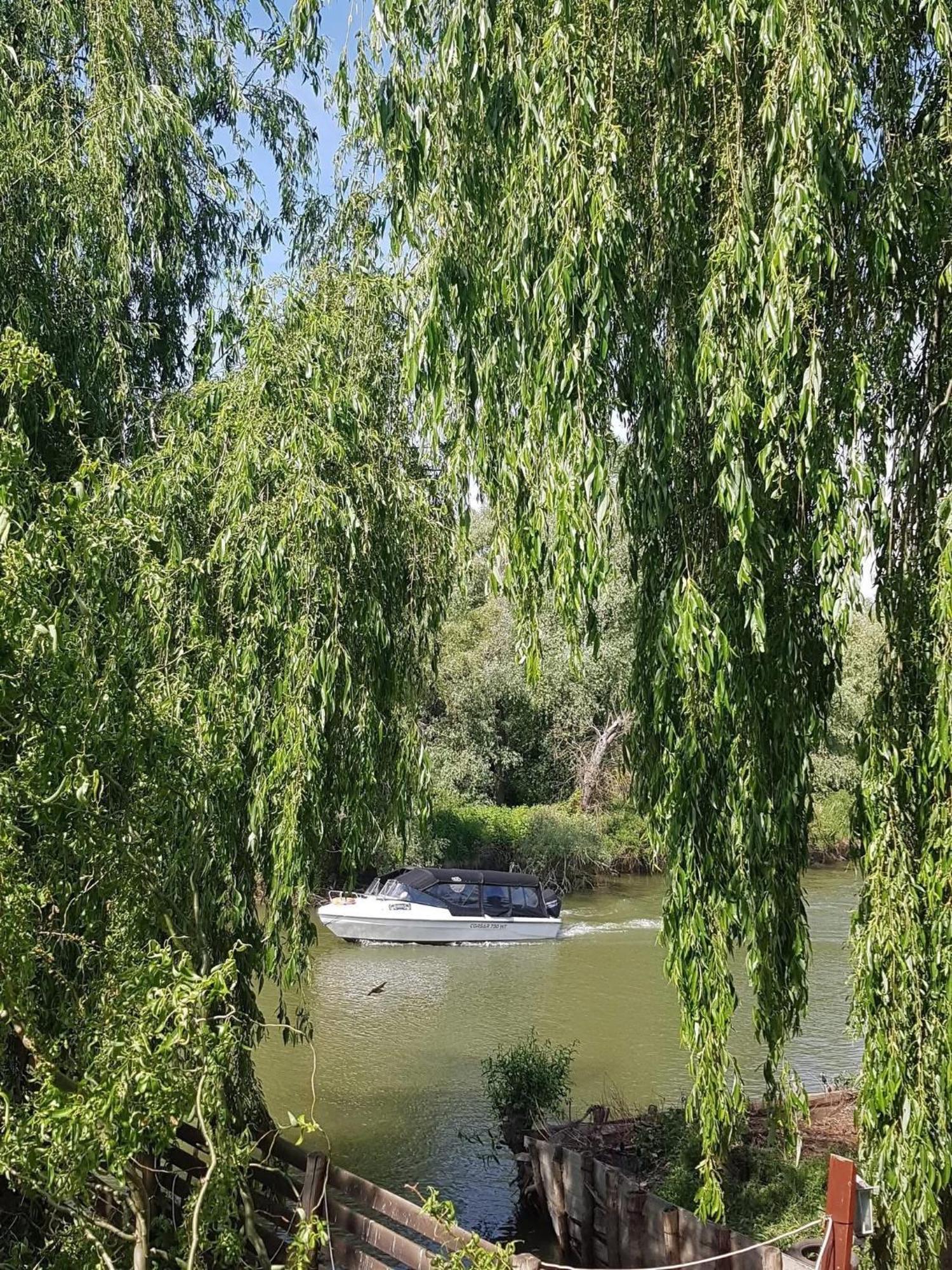 Pensiunea Uzlina Тулча Экстерьер фото